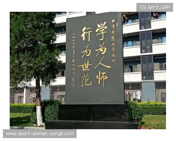 大阳城旗舰厅登录线路如何选择最优线路以提升游戏体验和登录速度