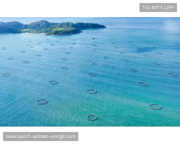 新濠集团最新动态与未来发展战略全面解析助你了解新濠集团的行业地位与竞争优势