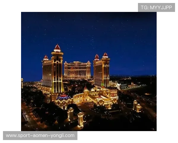 澳门十大娱乐场所法人代表名单及其背景信息全面解析